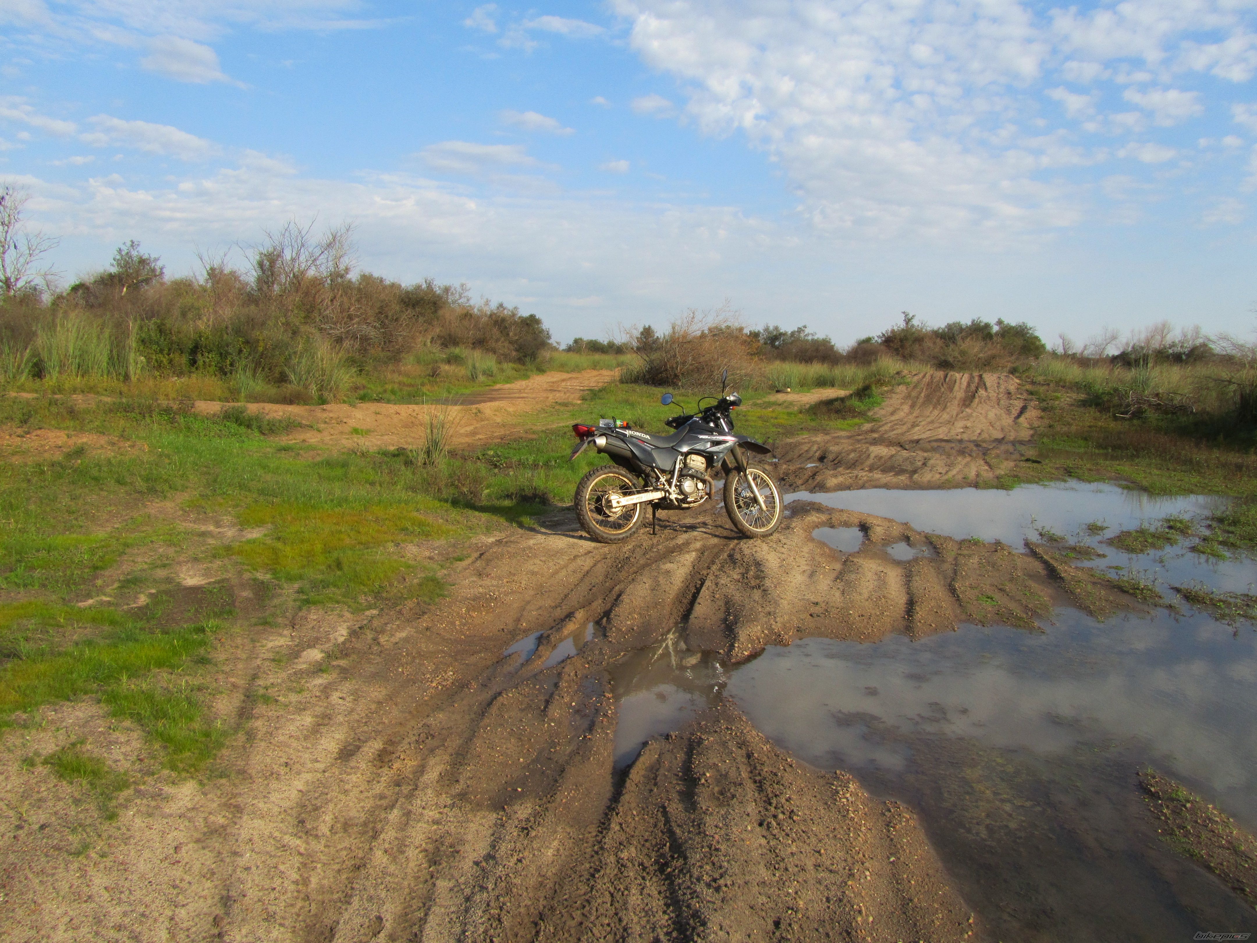 Photo 2011545