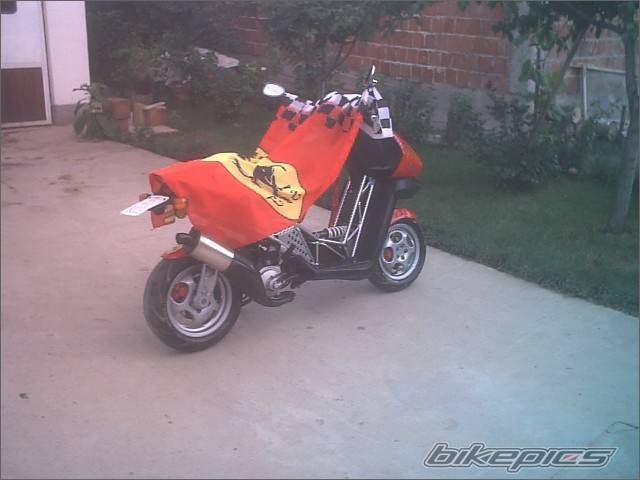 Photo 201157