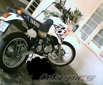 Photo 2011587