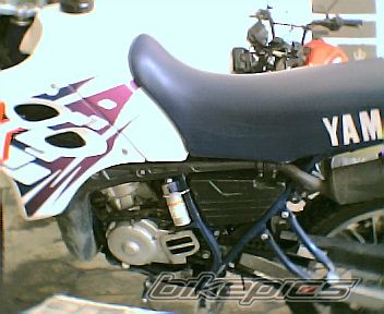 Photo 2011588