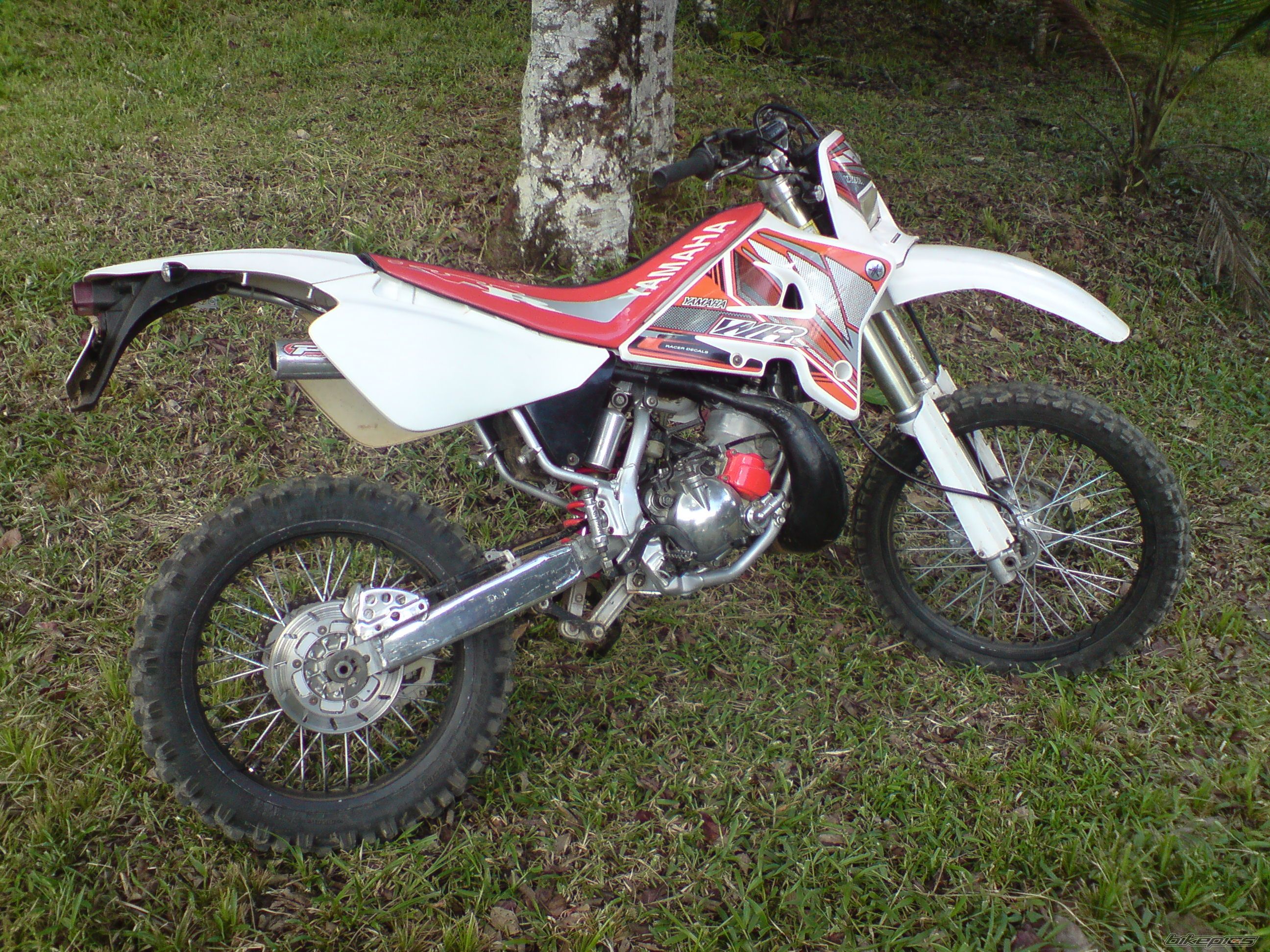 Photo 2011589