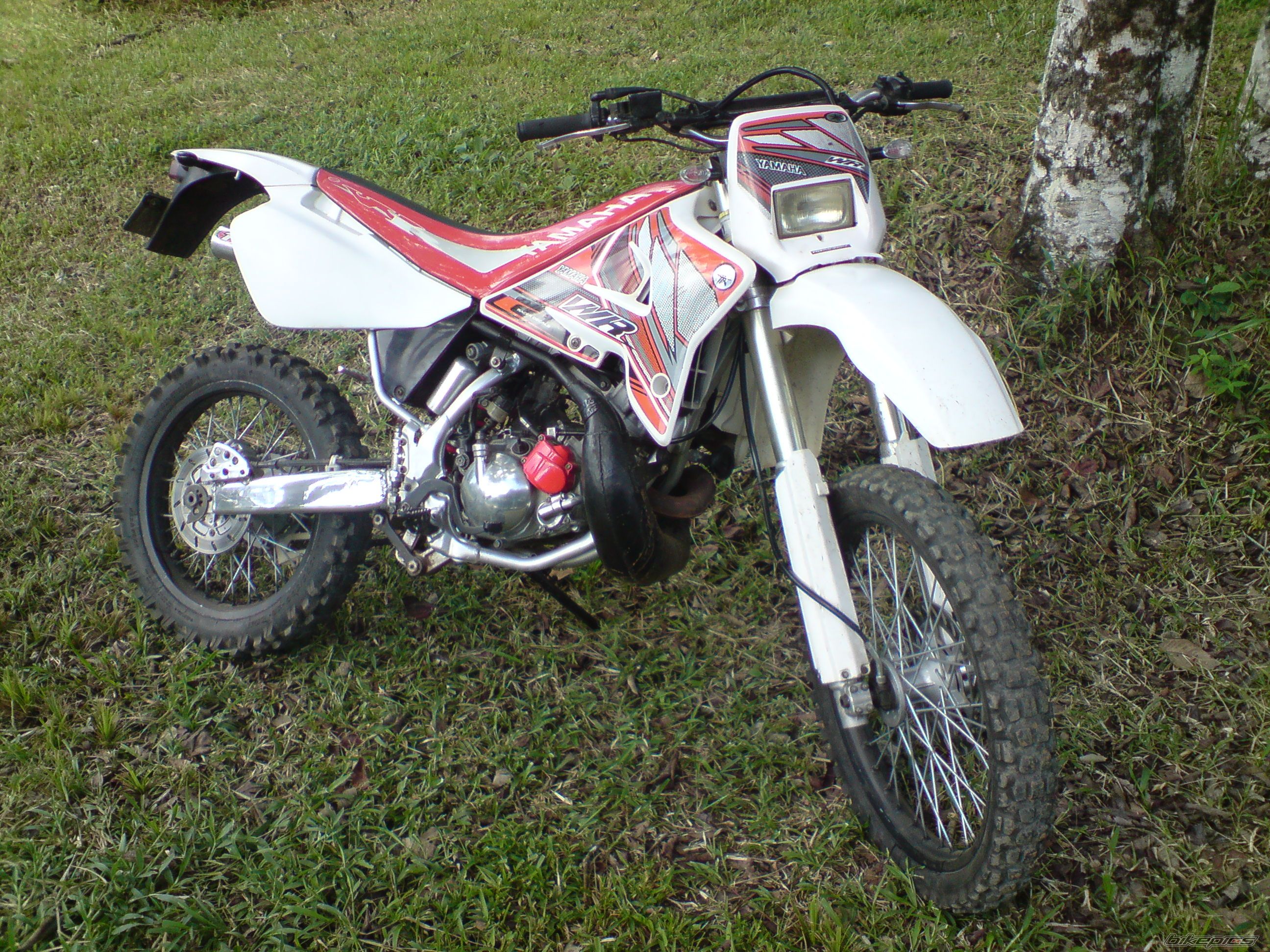 Photo 2011590