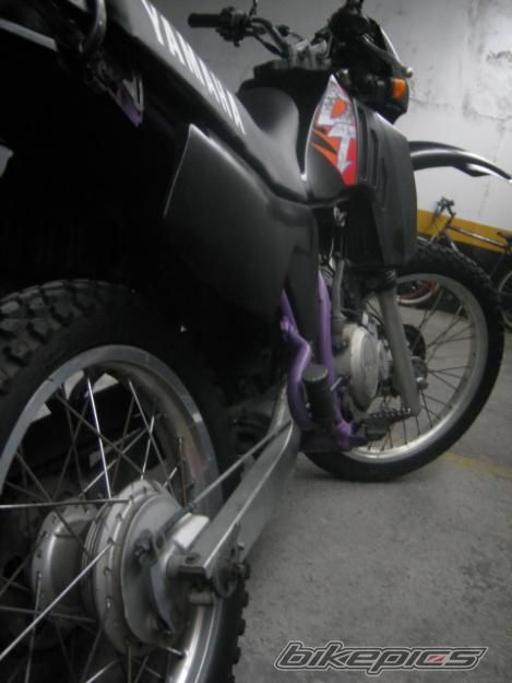 Photo 2011608