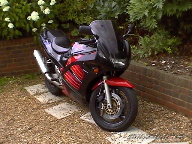 Photo 201162