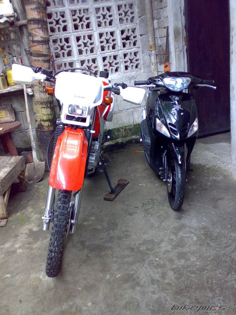 Photo 2011658