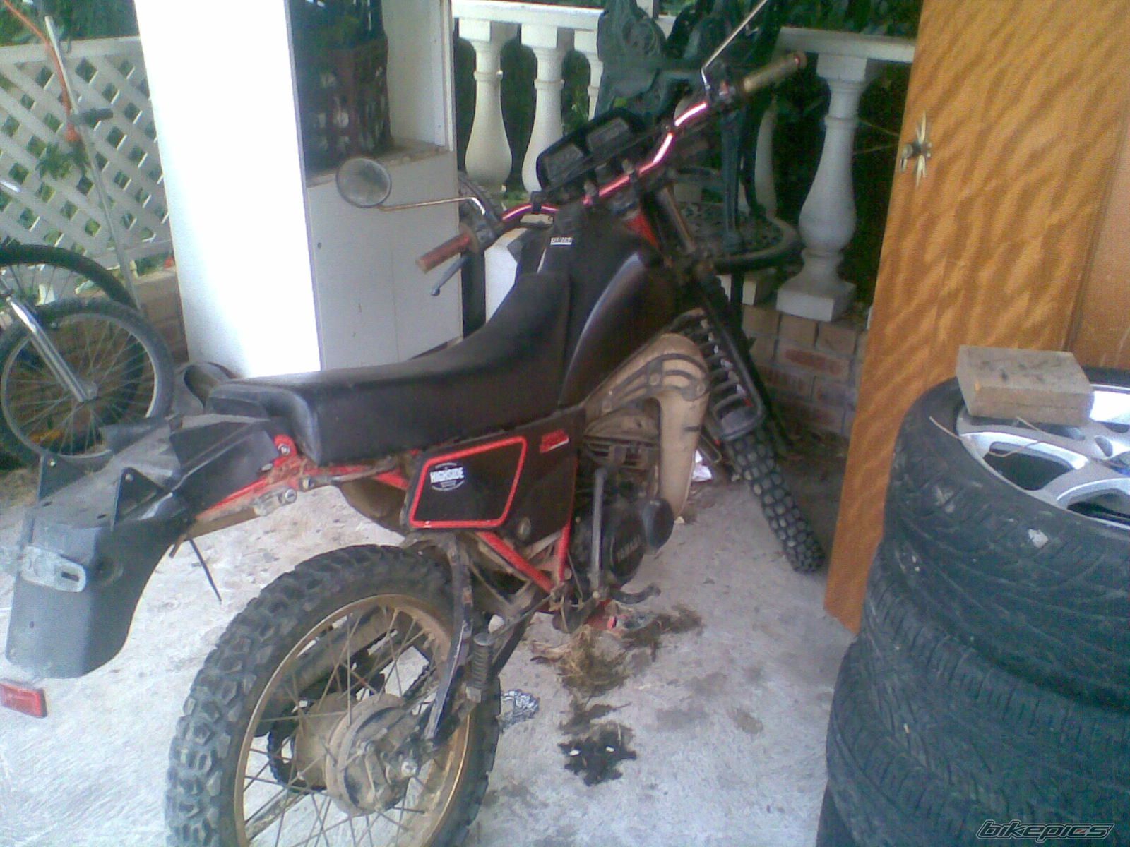 Photo 2011669