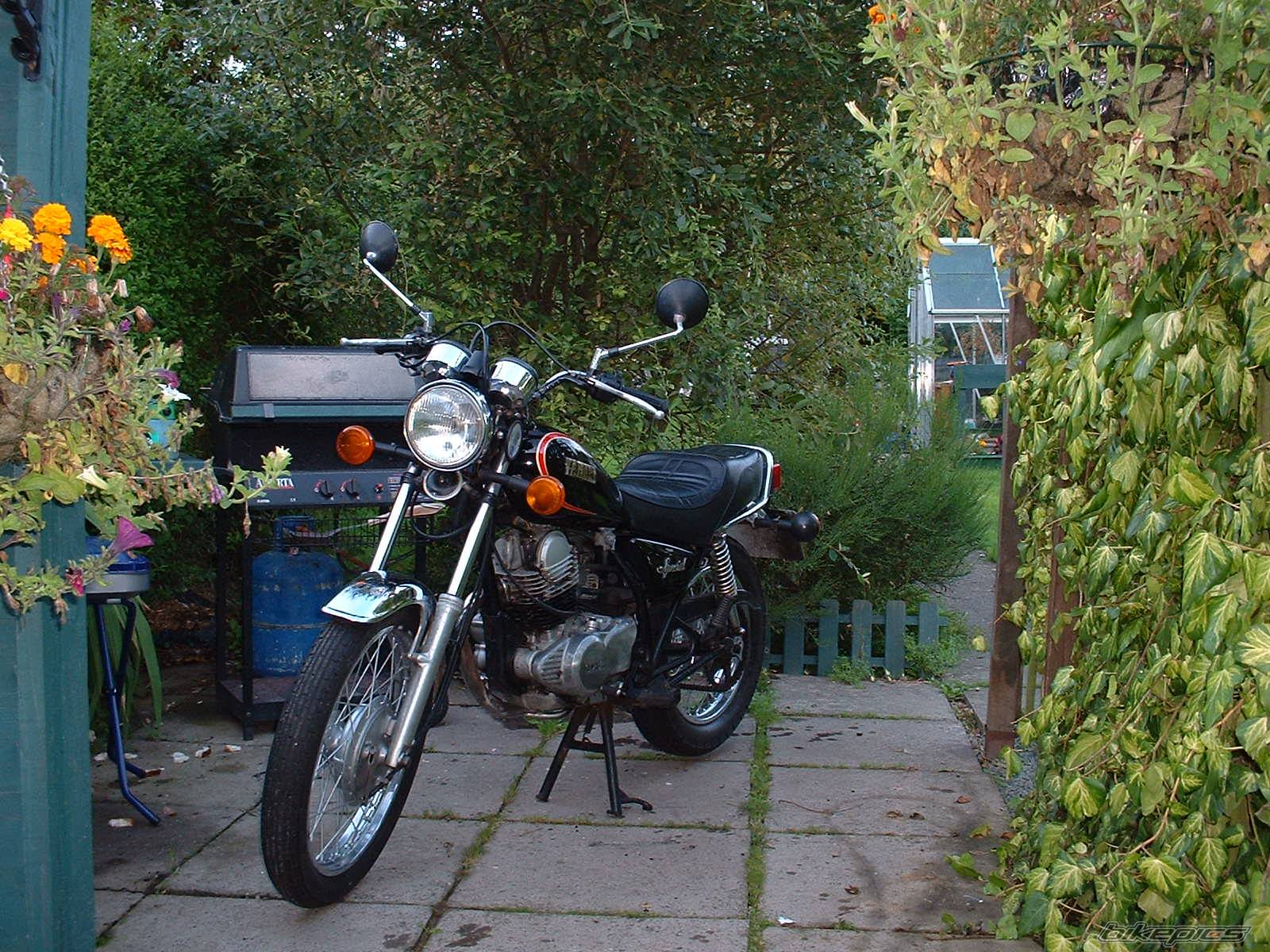 Photo 201175