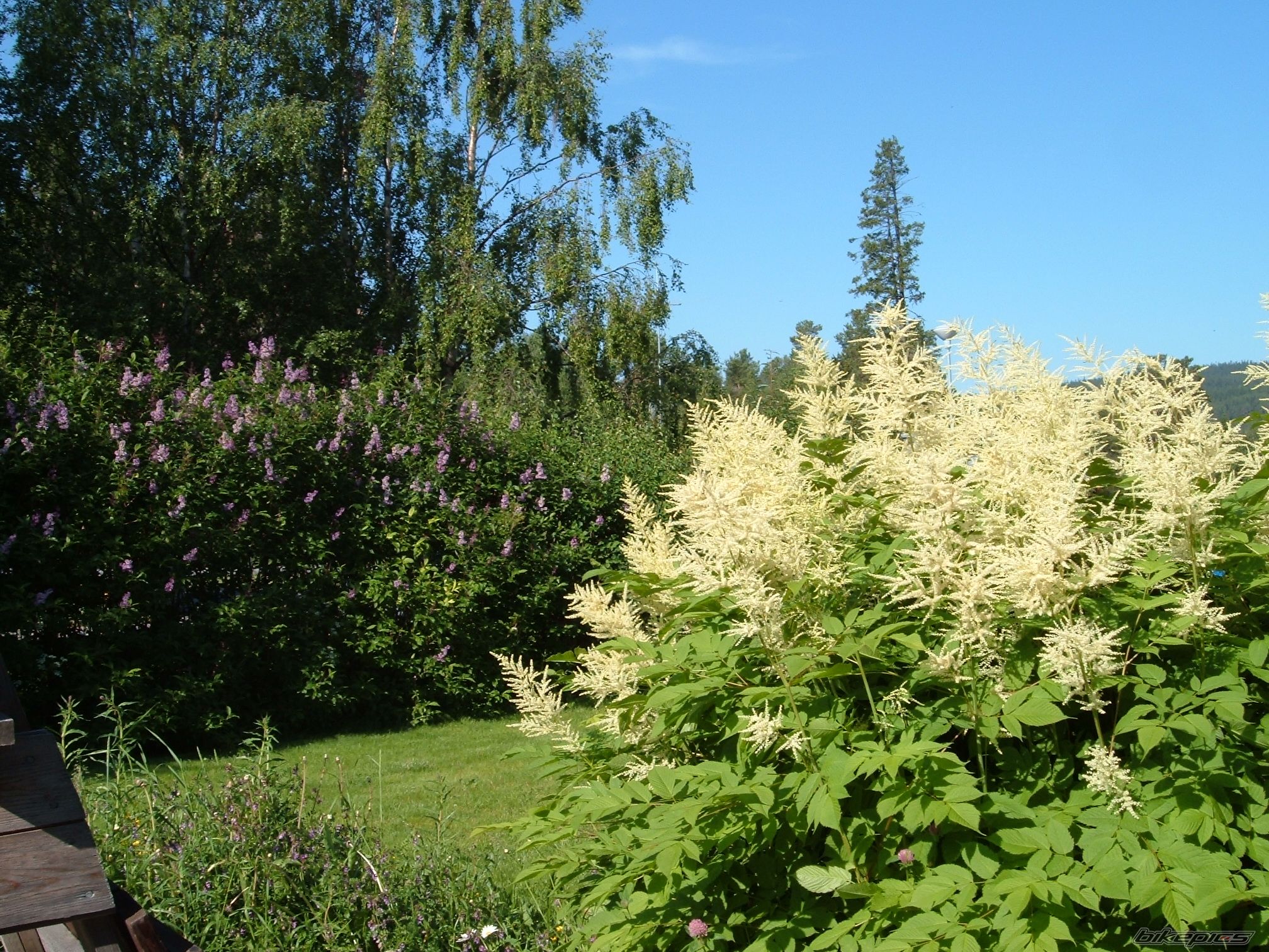 Photo 2011777