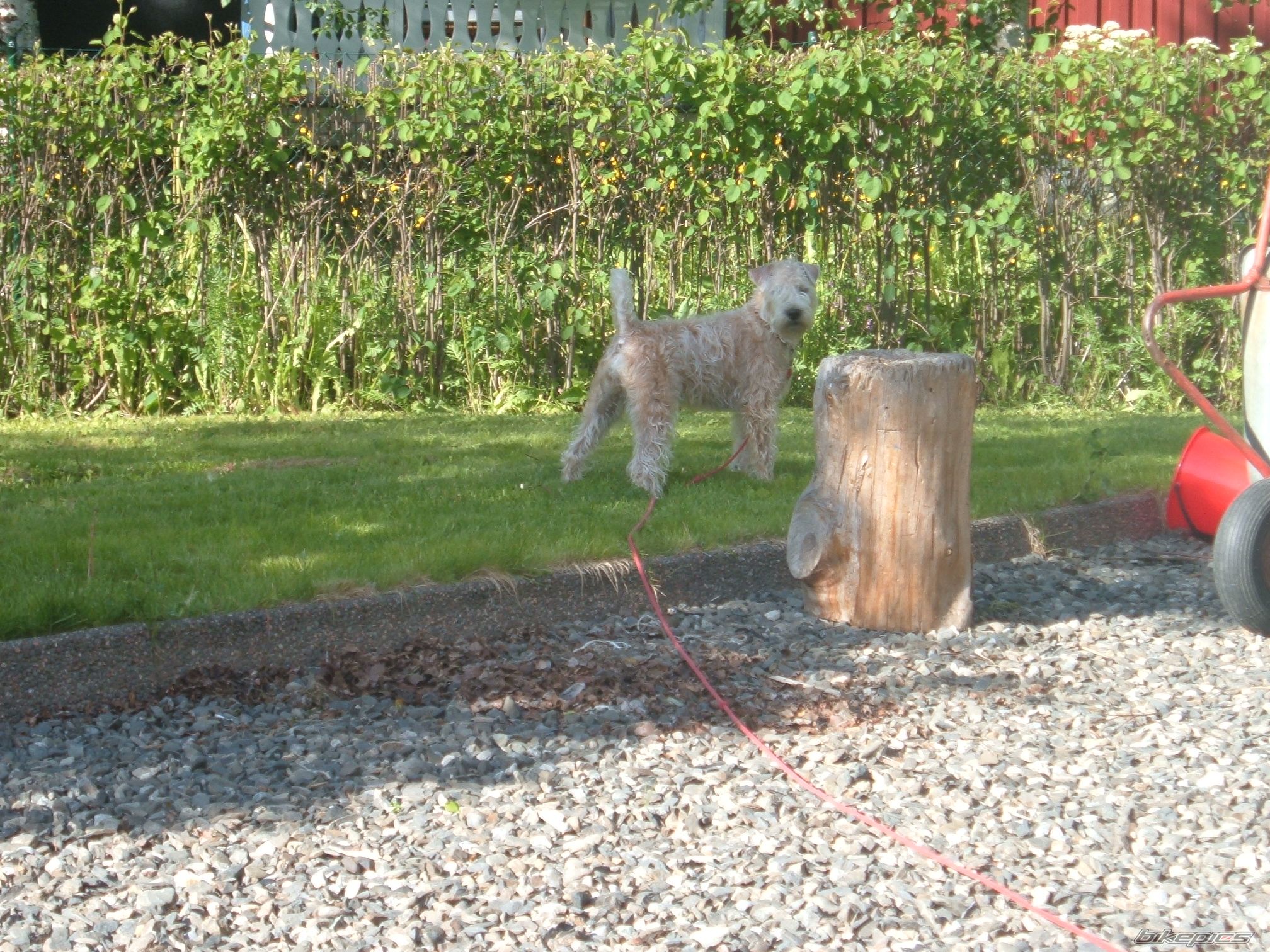 Photo 2011778