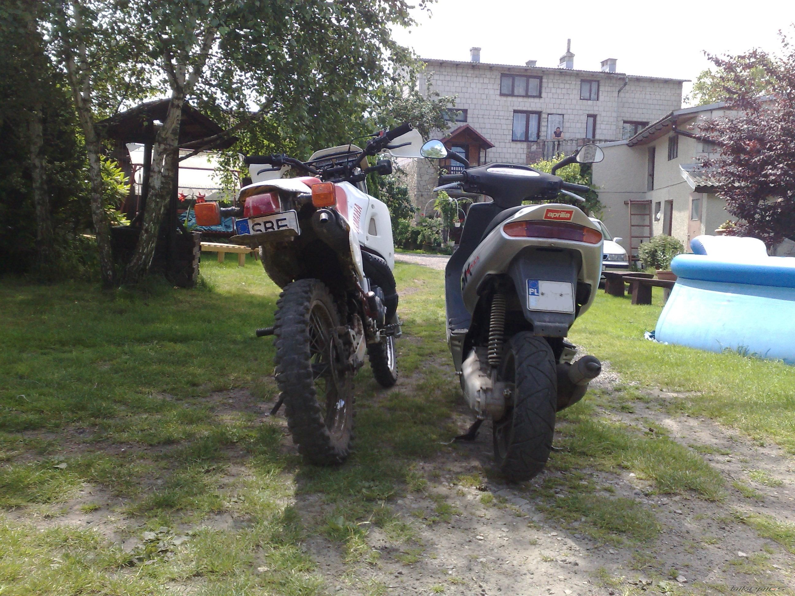Photo 2011810