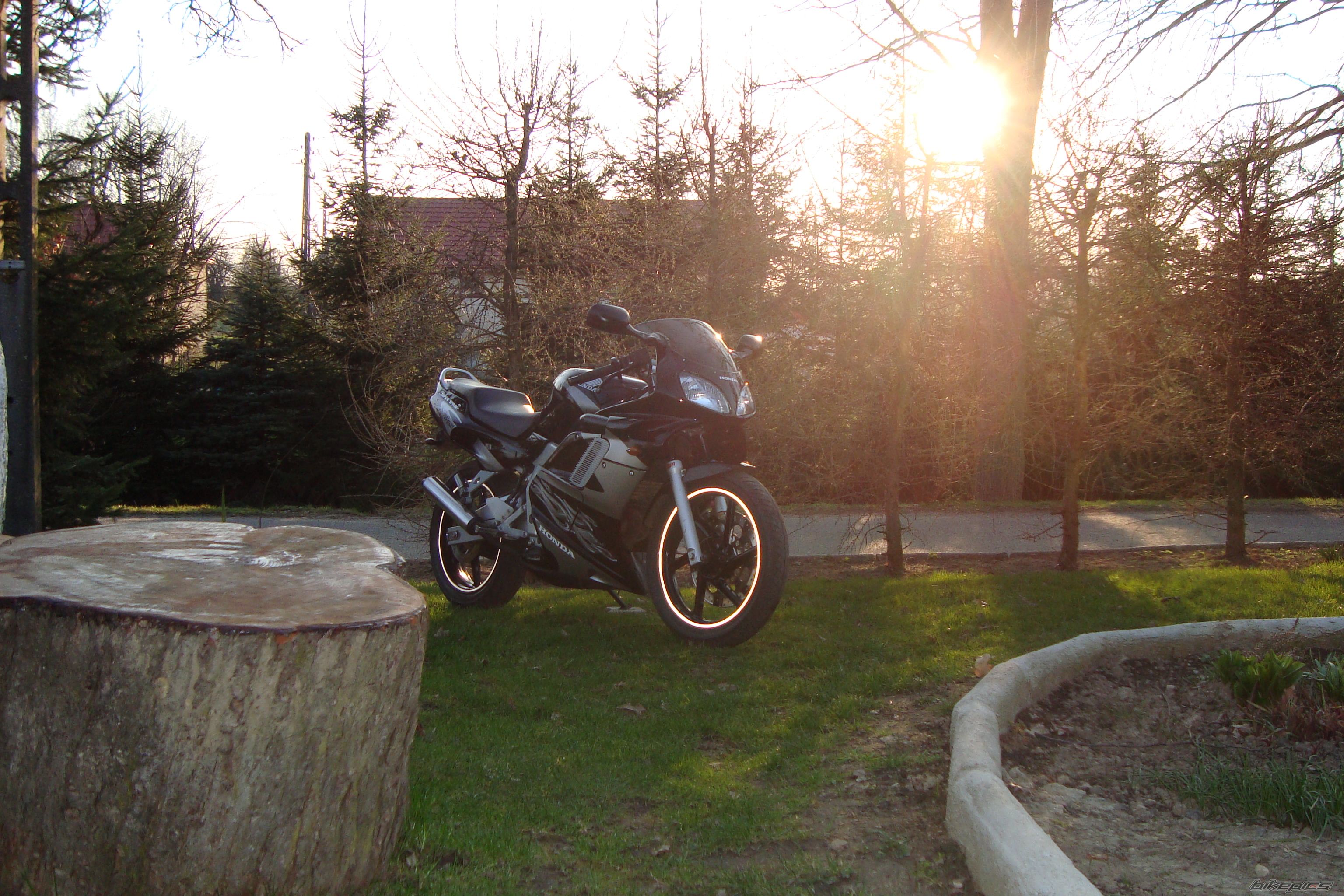 Photo 2011862