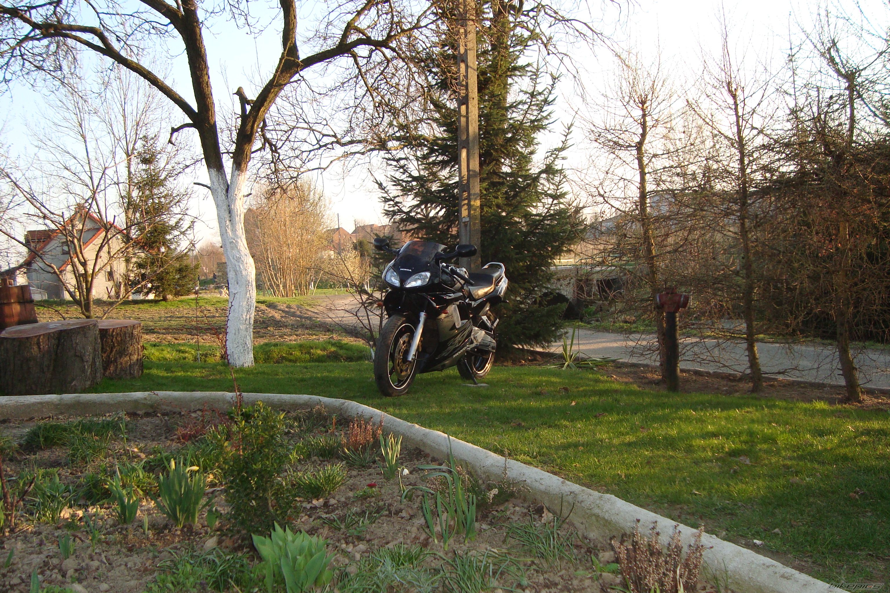 Photo 2011864