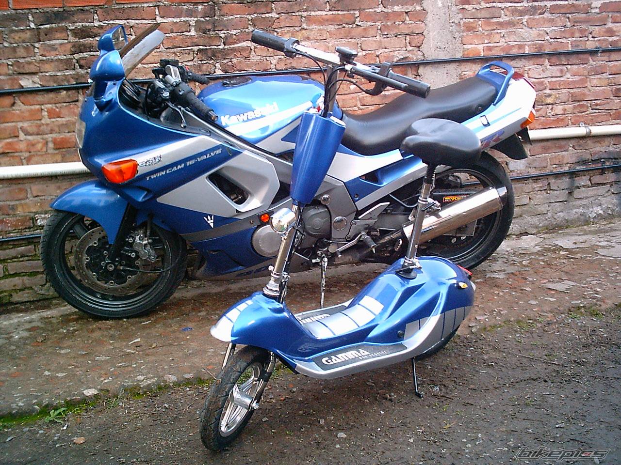 Photo 201187