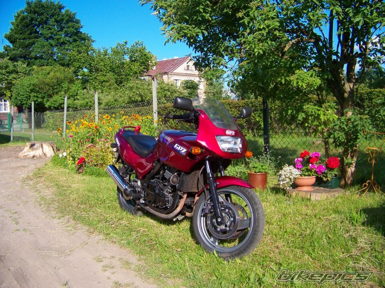 Photo 2011994