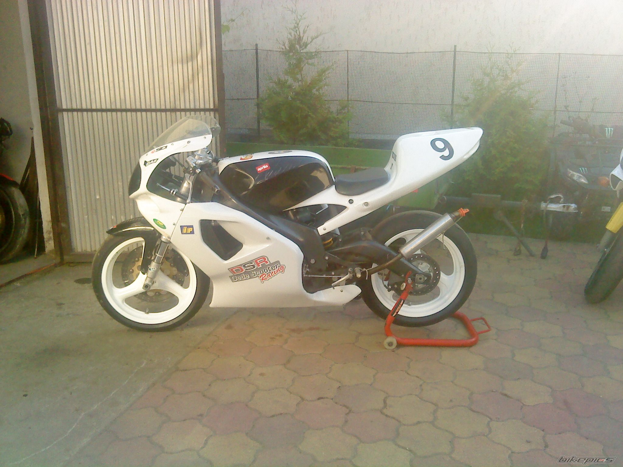 Photo 2012021