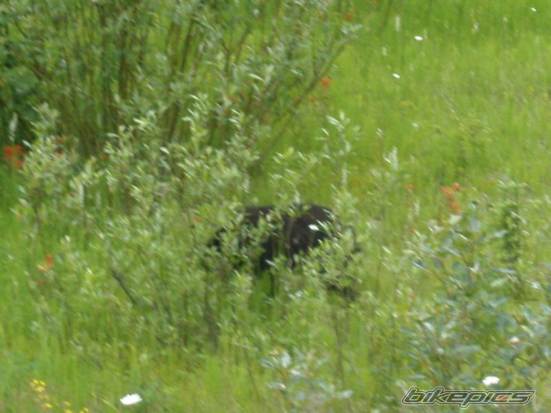 Photo 2012039