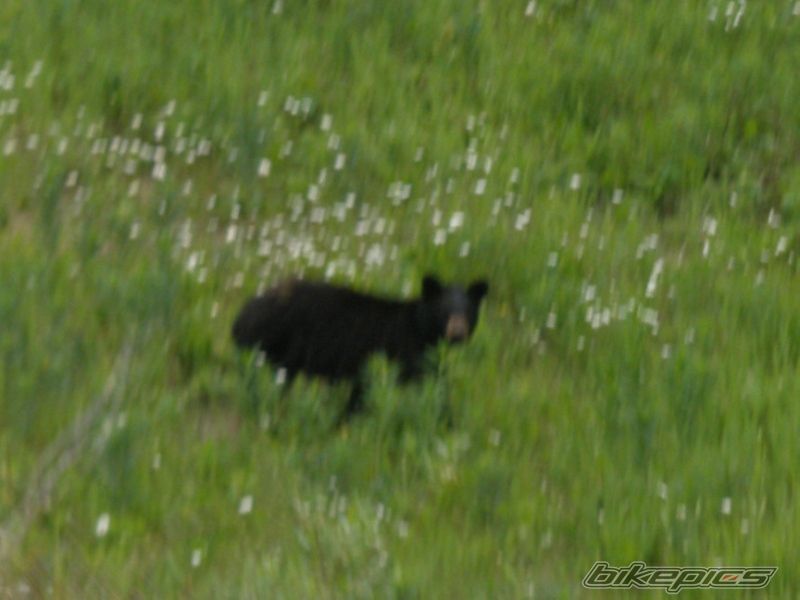 Photo 2012042