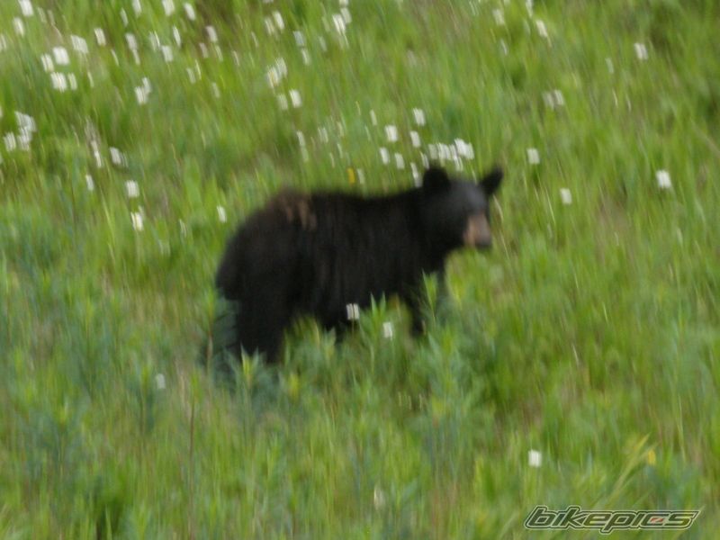 Photo 2012043