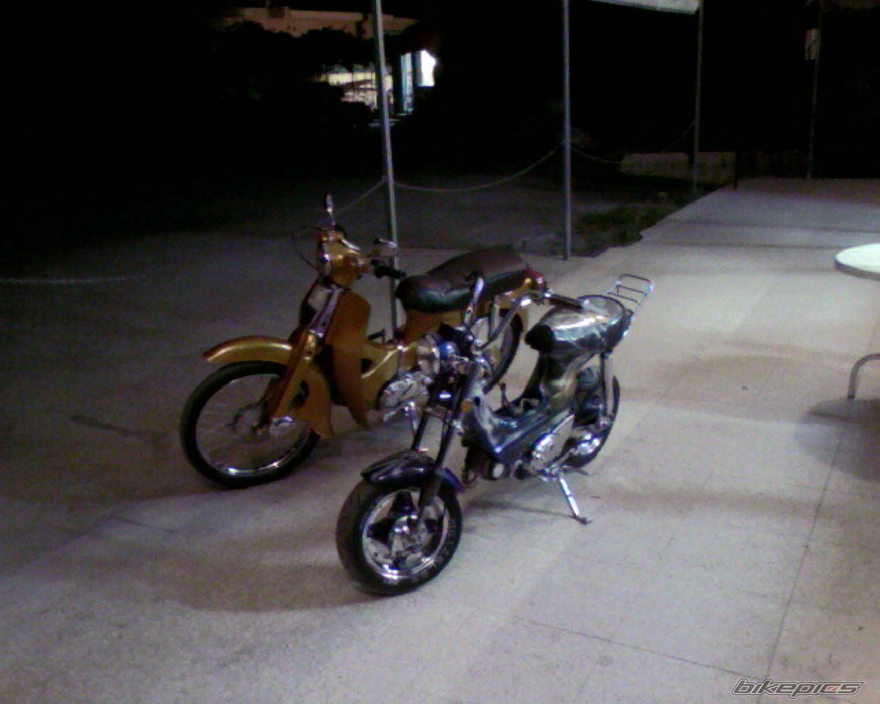 Photo 2012061