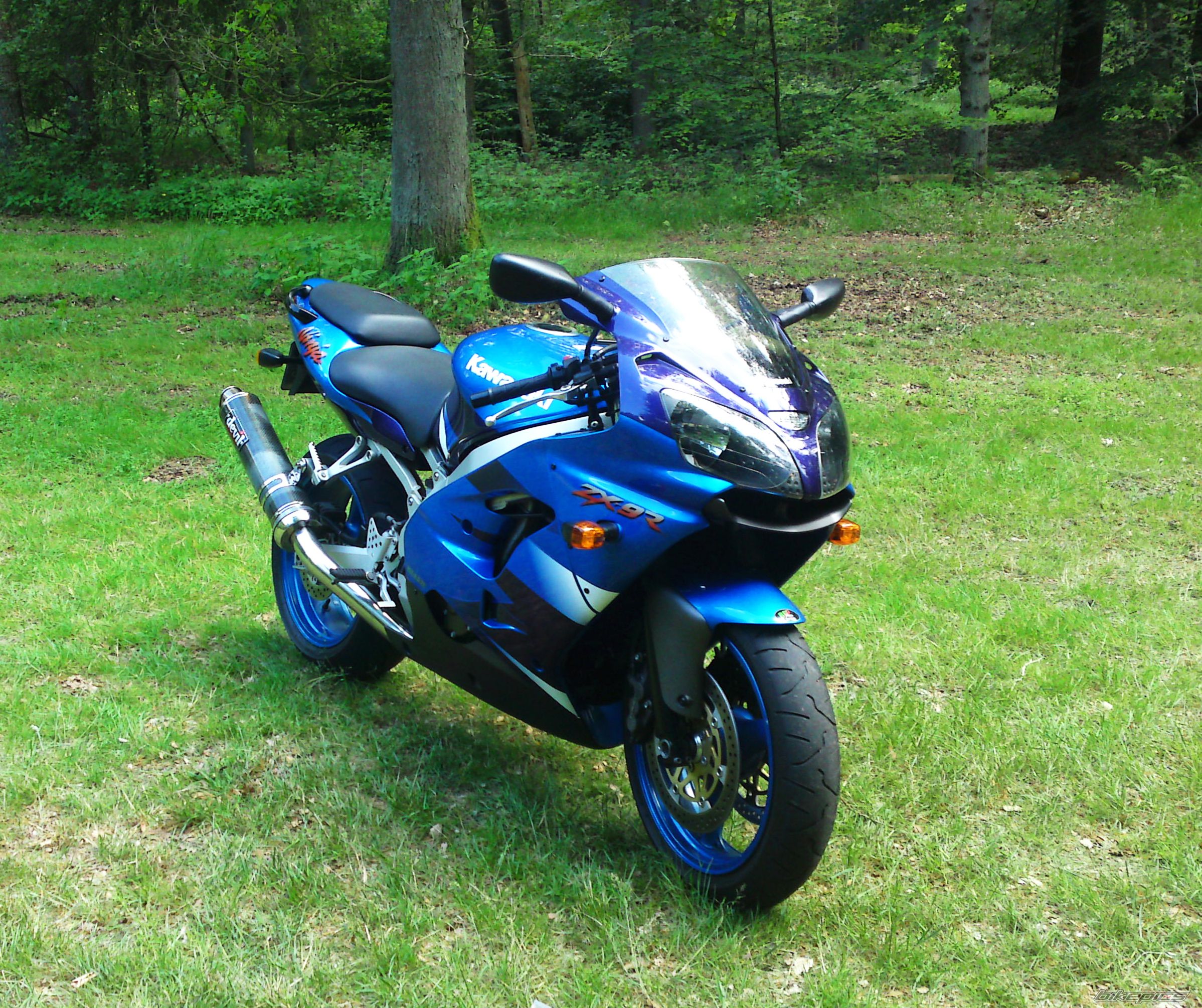 Photo 2012103