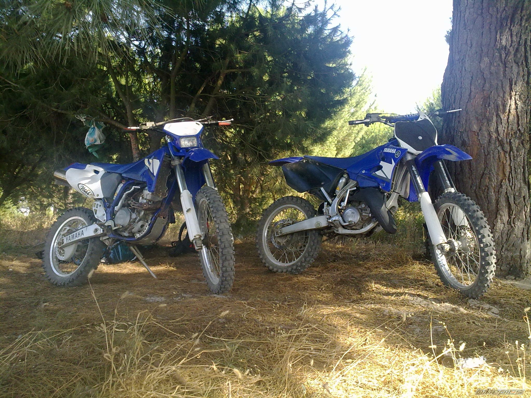 Photo 2012115