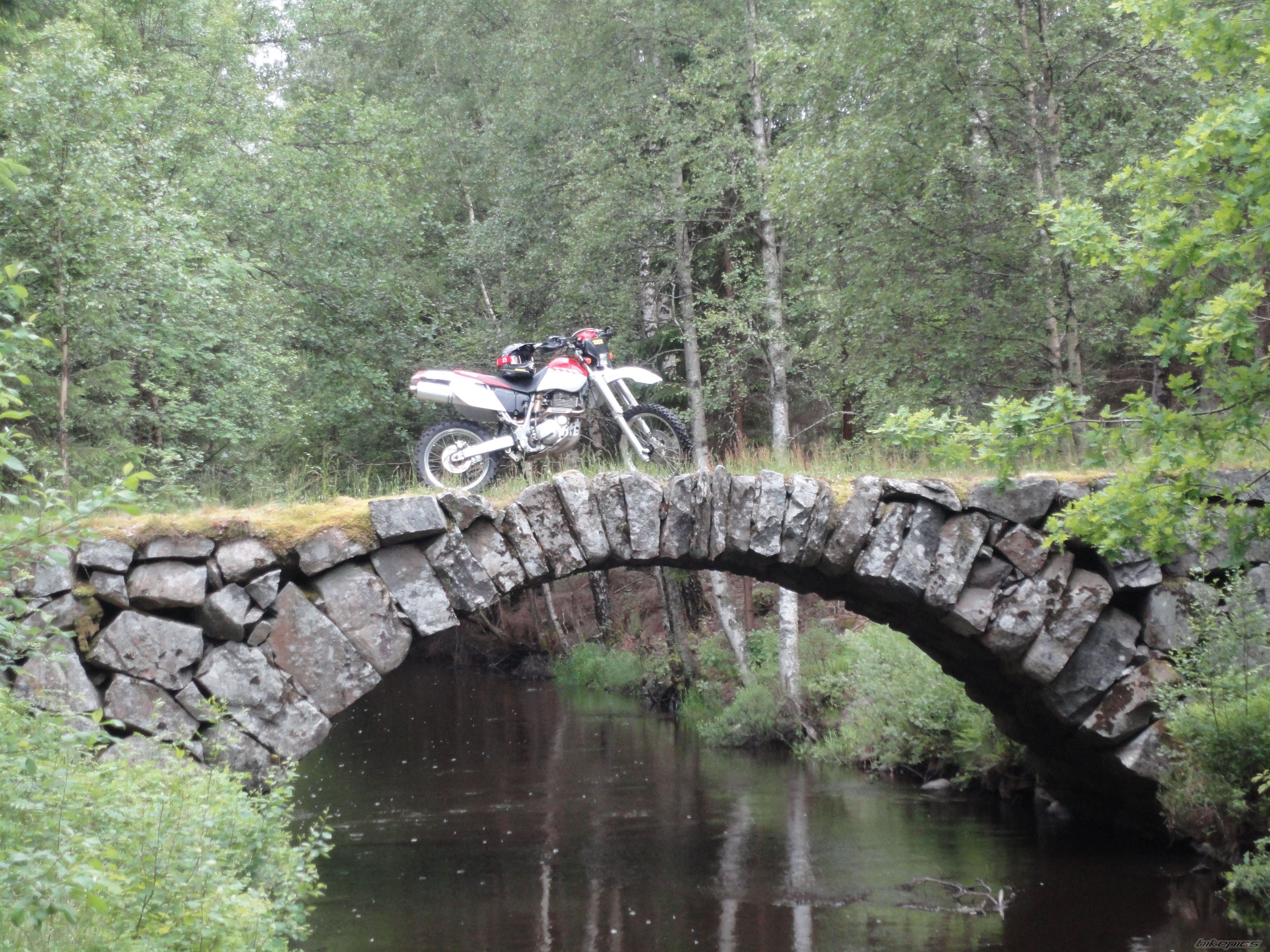 Photo 2012141