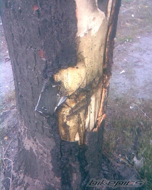 Photo 2012168