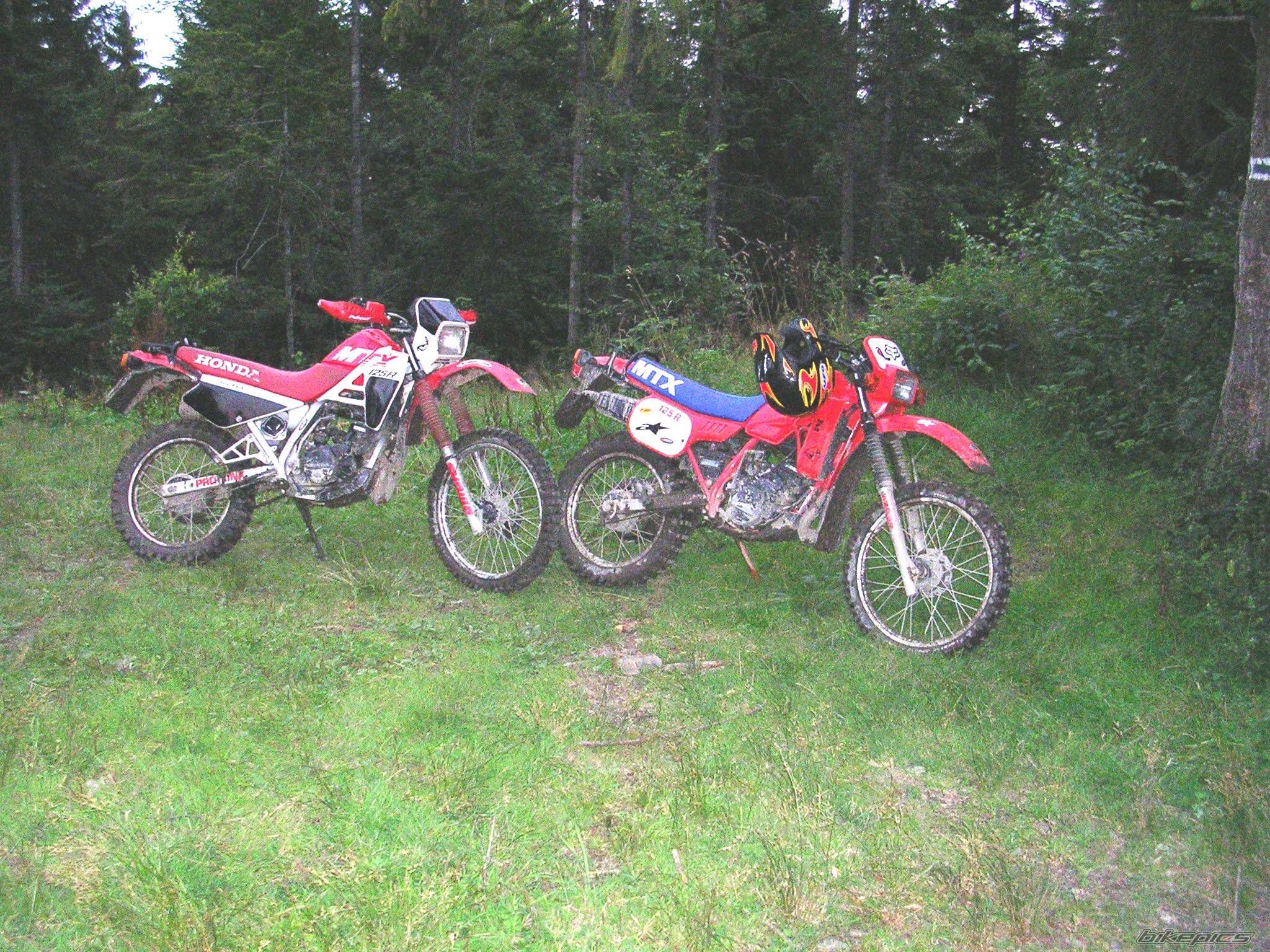 Photo 201217