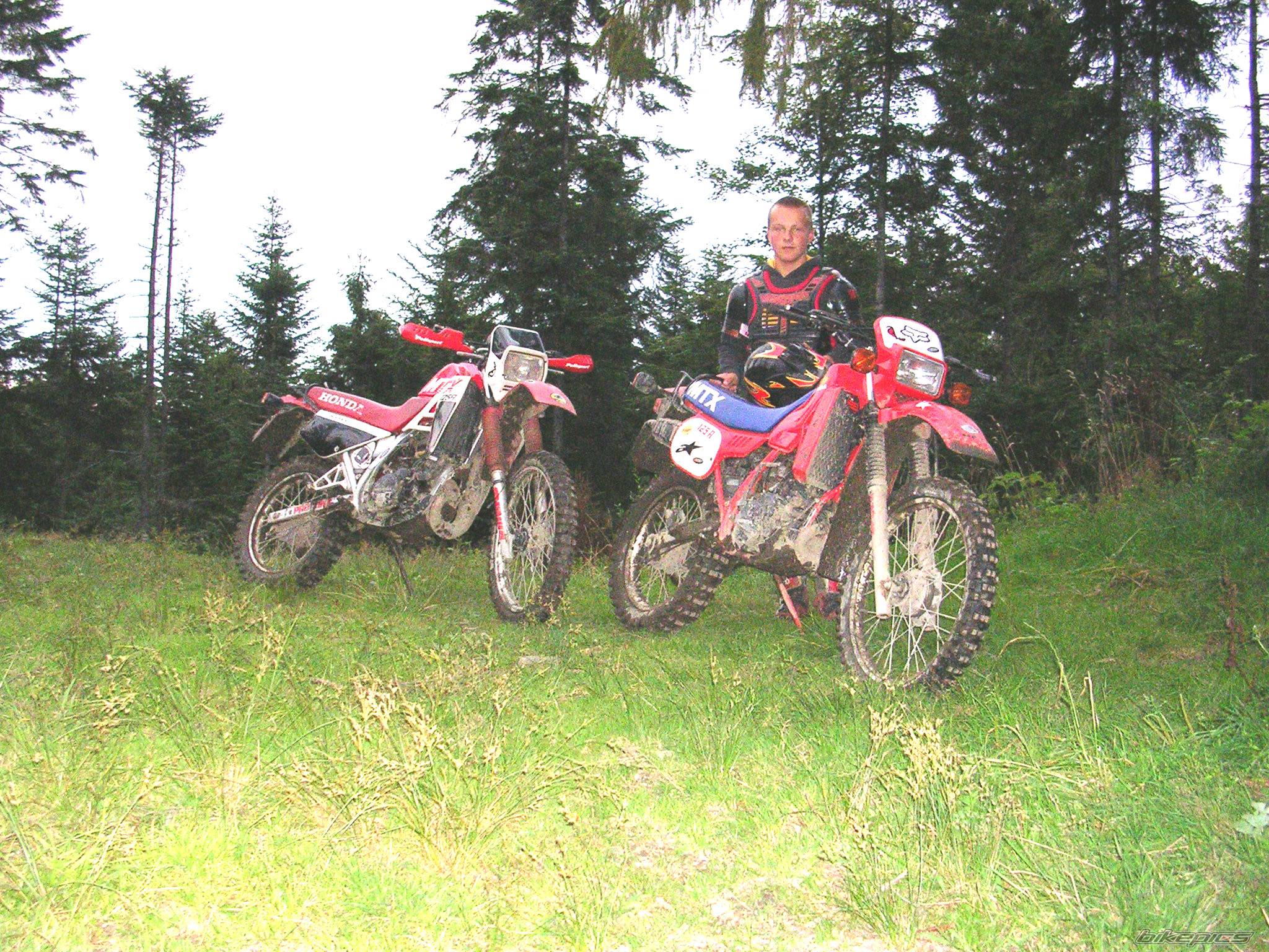Photo 201218