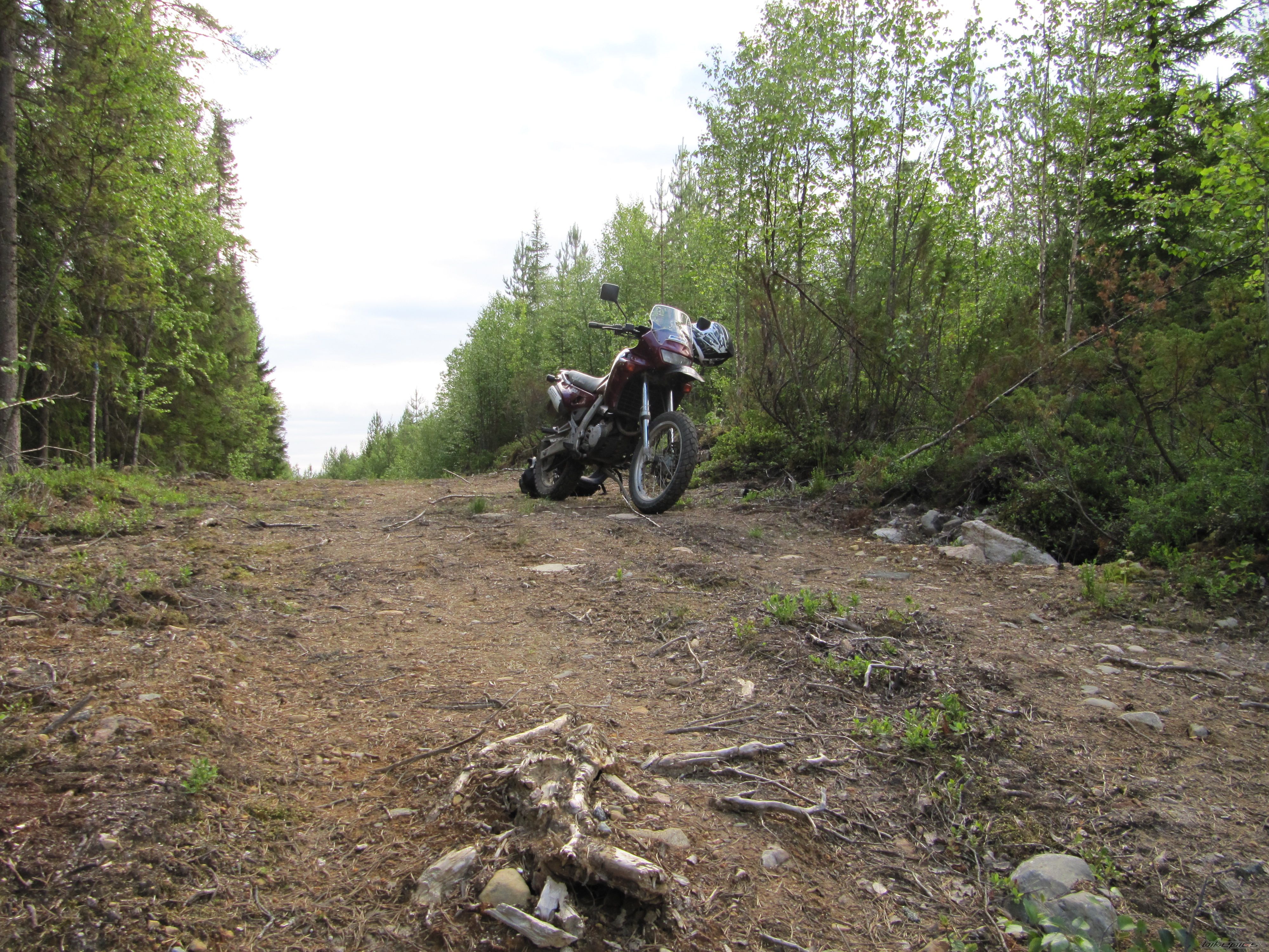 Photo 2012189