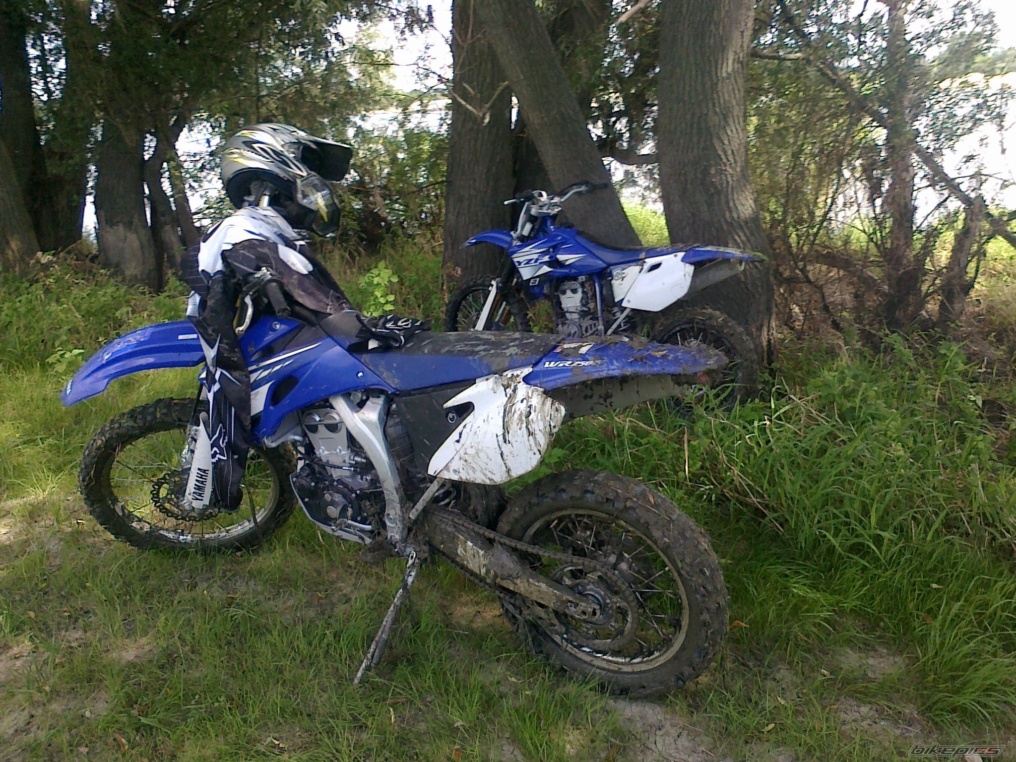 Photo 2012253