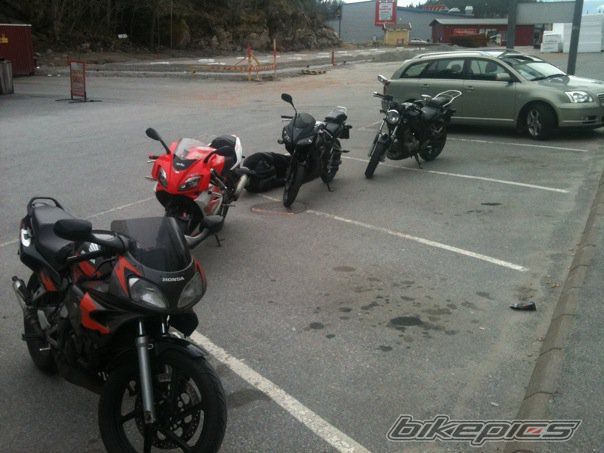 Photo 2012255