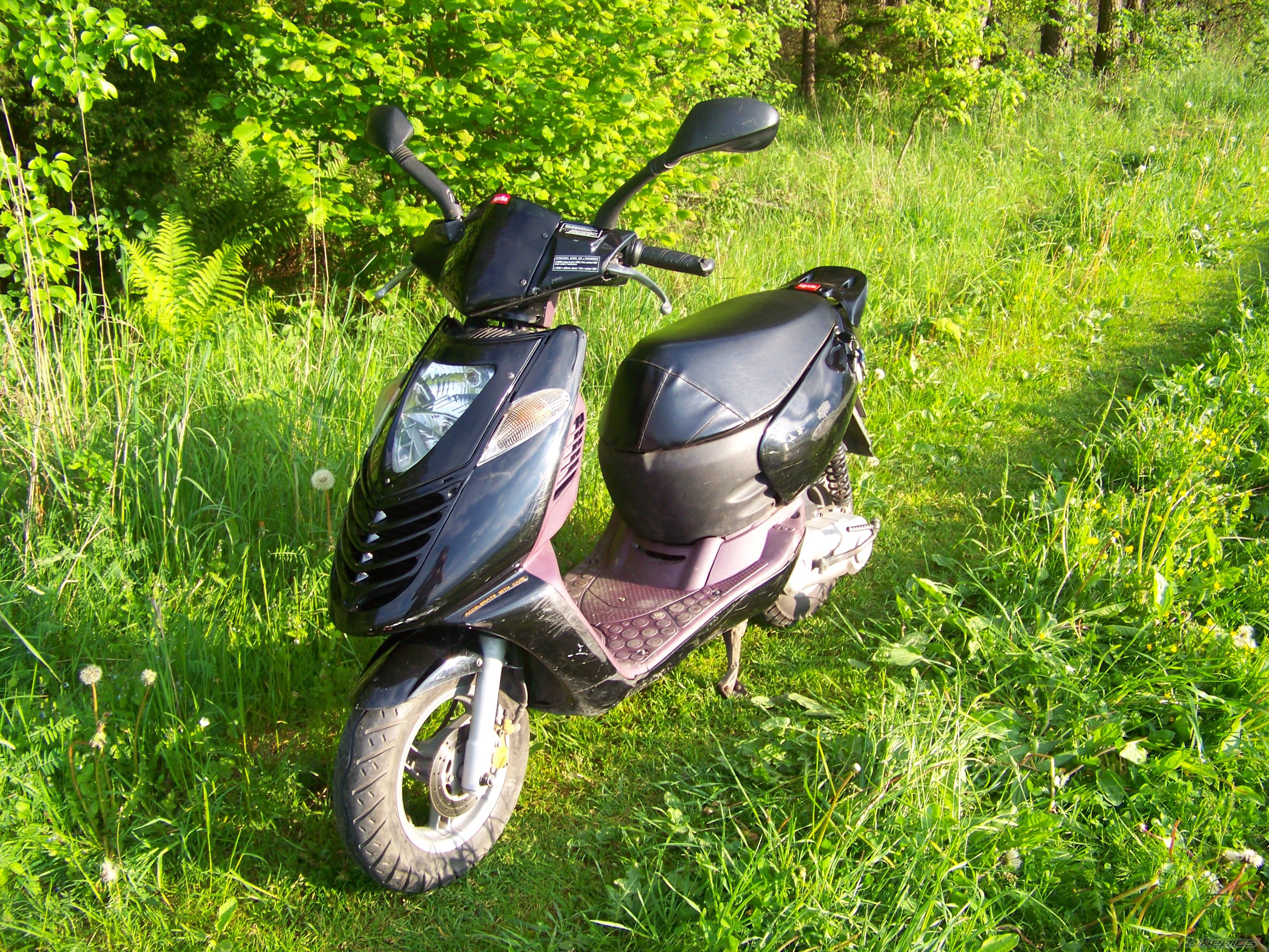Photo 2012433
