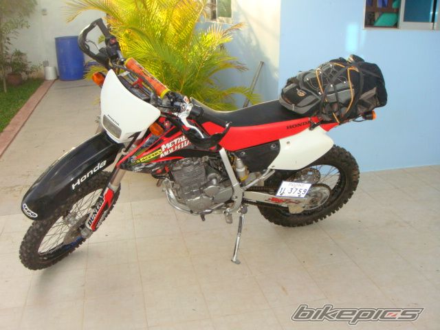 Photo 2012446