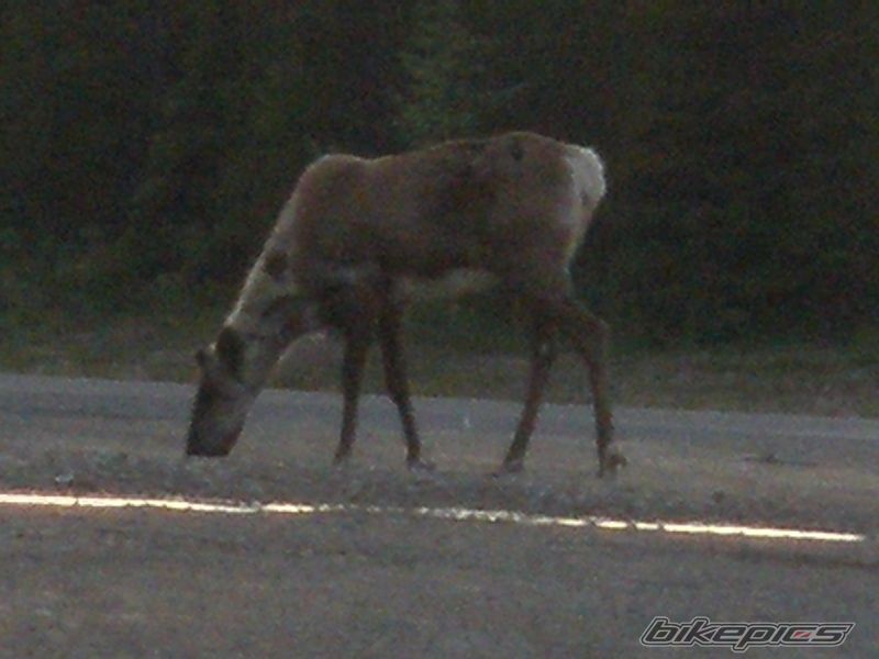 Photo 2012768