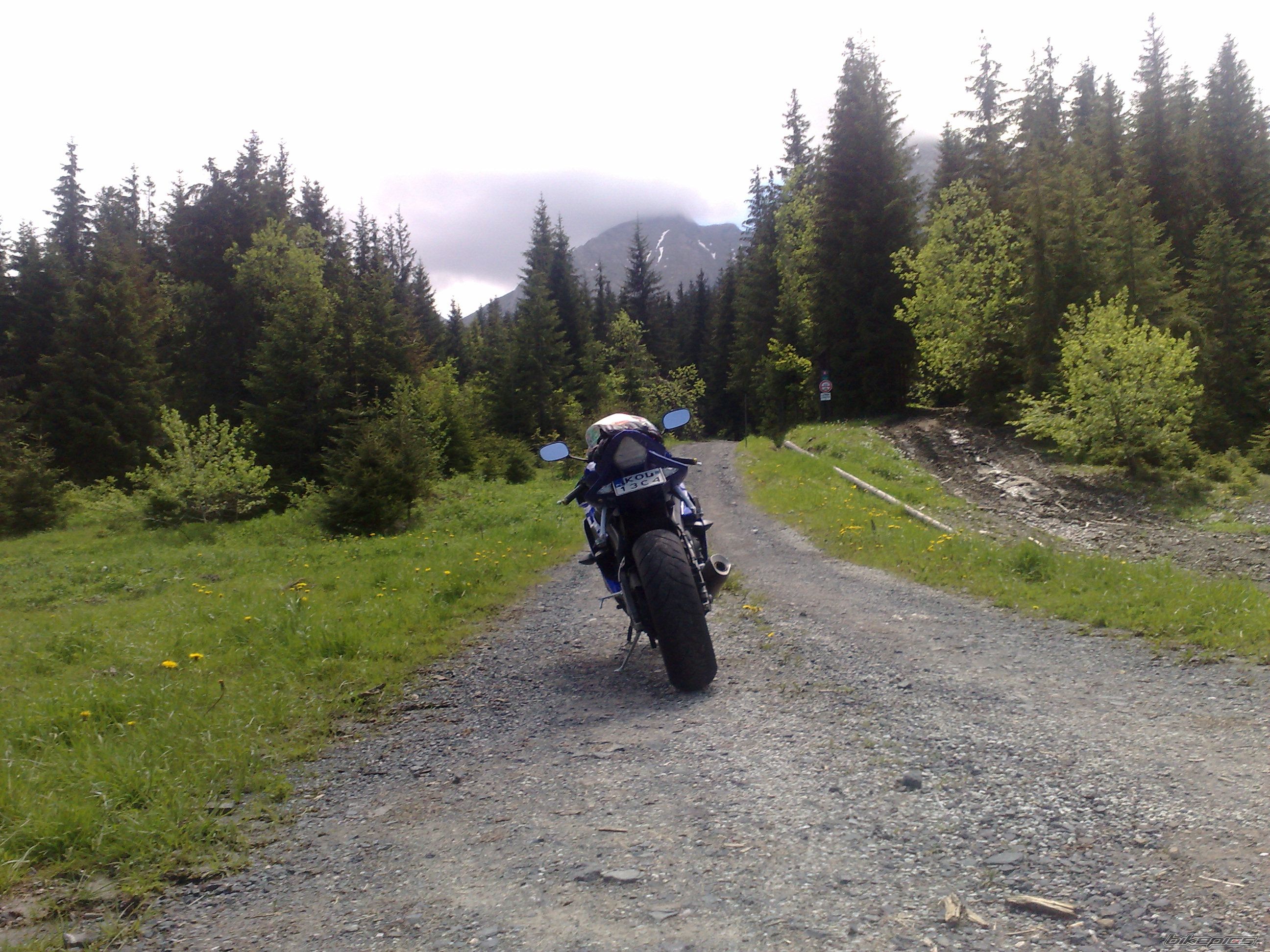 Photo 2012806