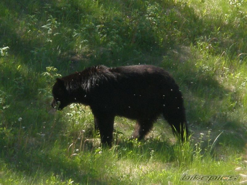 Photo 2013160