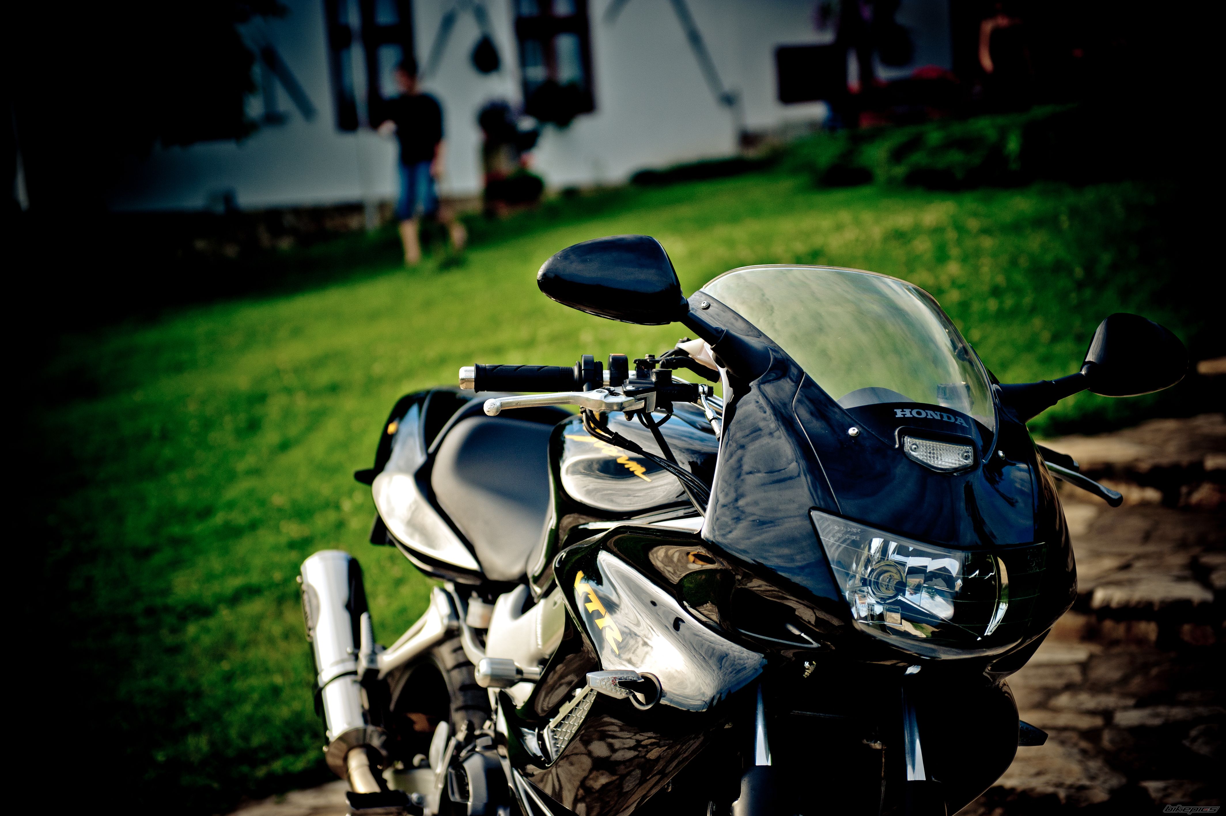 Photo 2013179