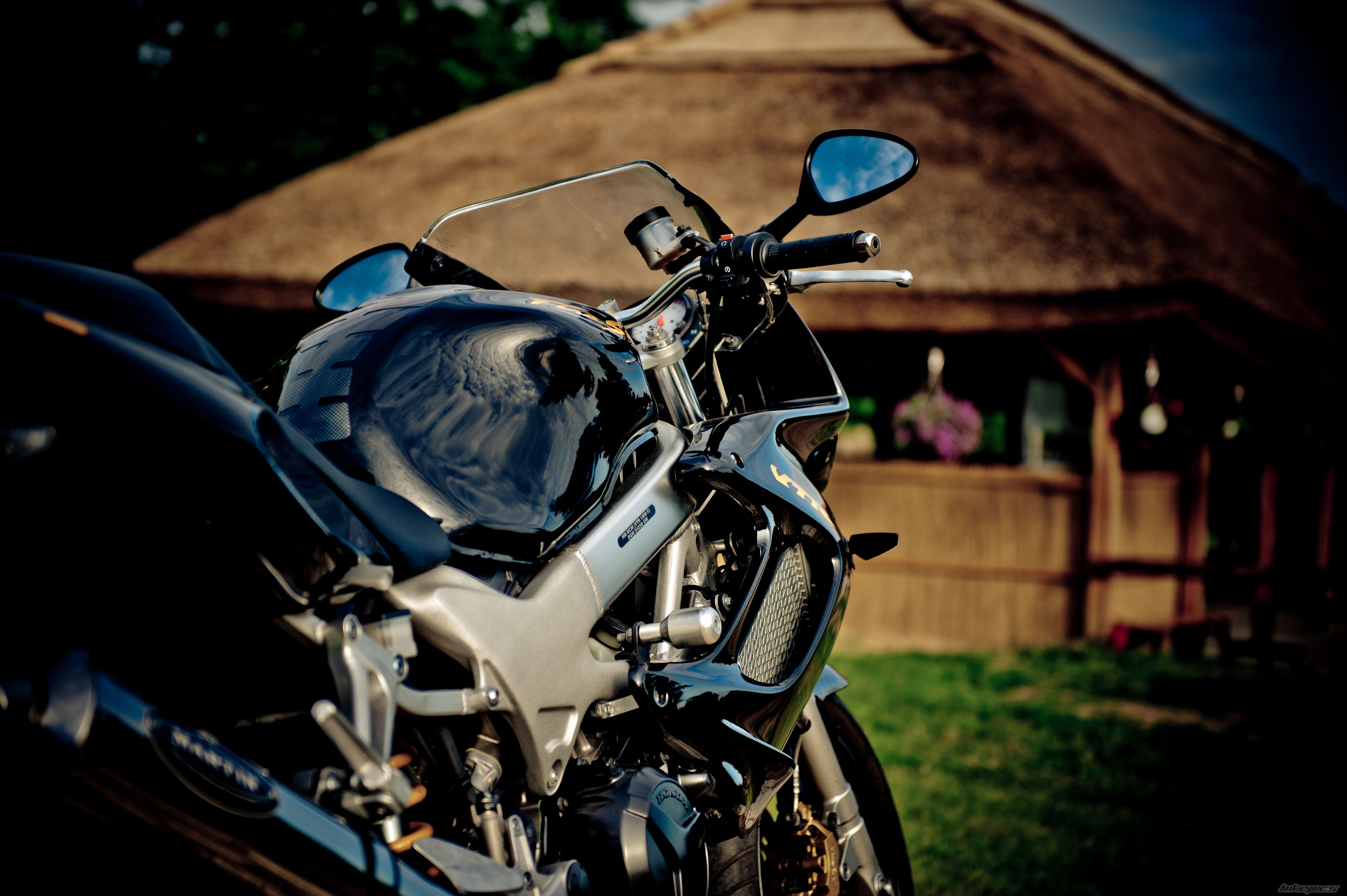 Photo 2013186