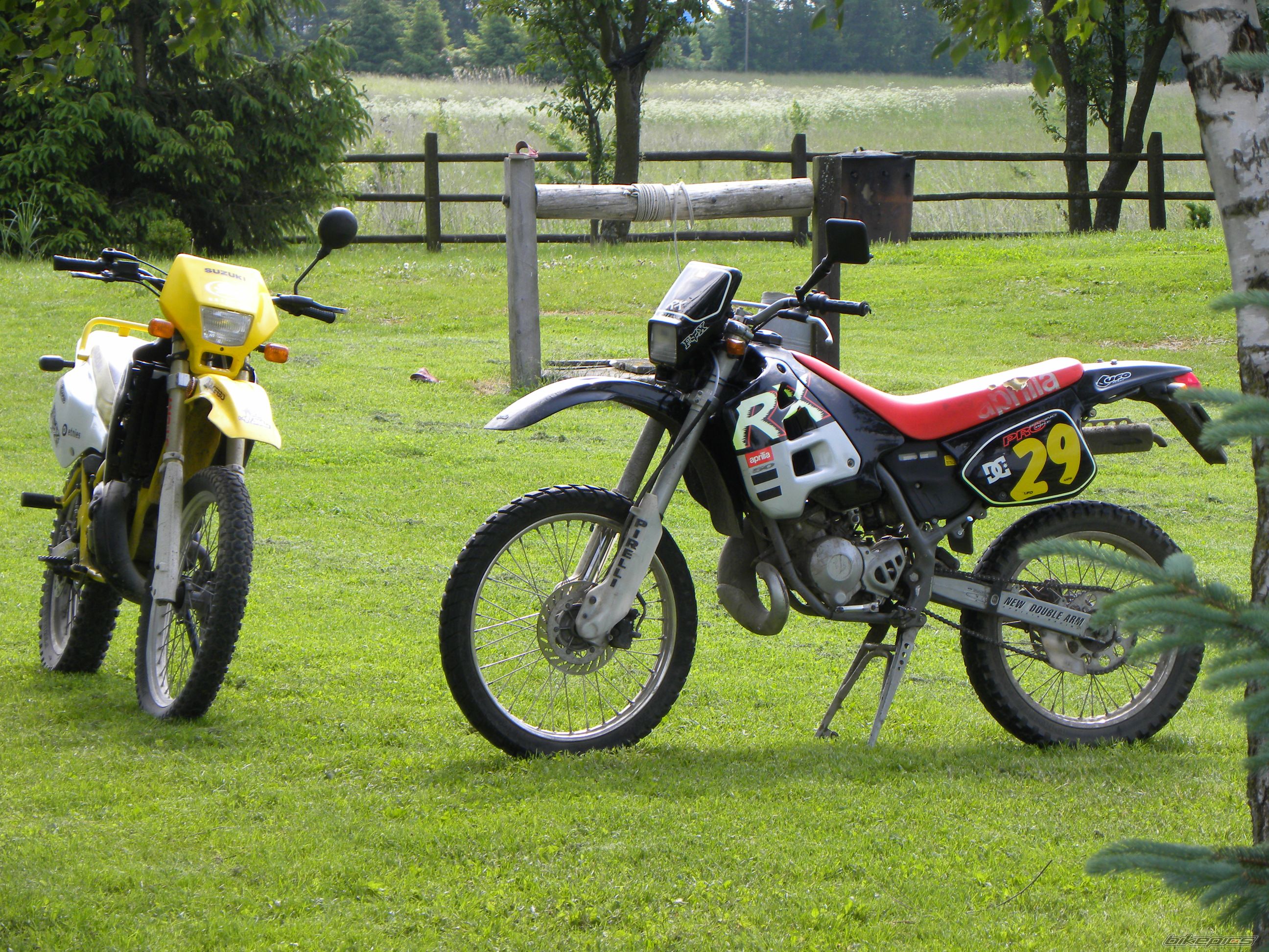 Photo 2013244