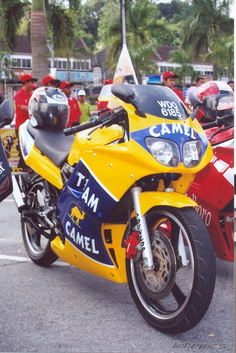 Photo 2013398