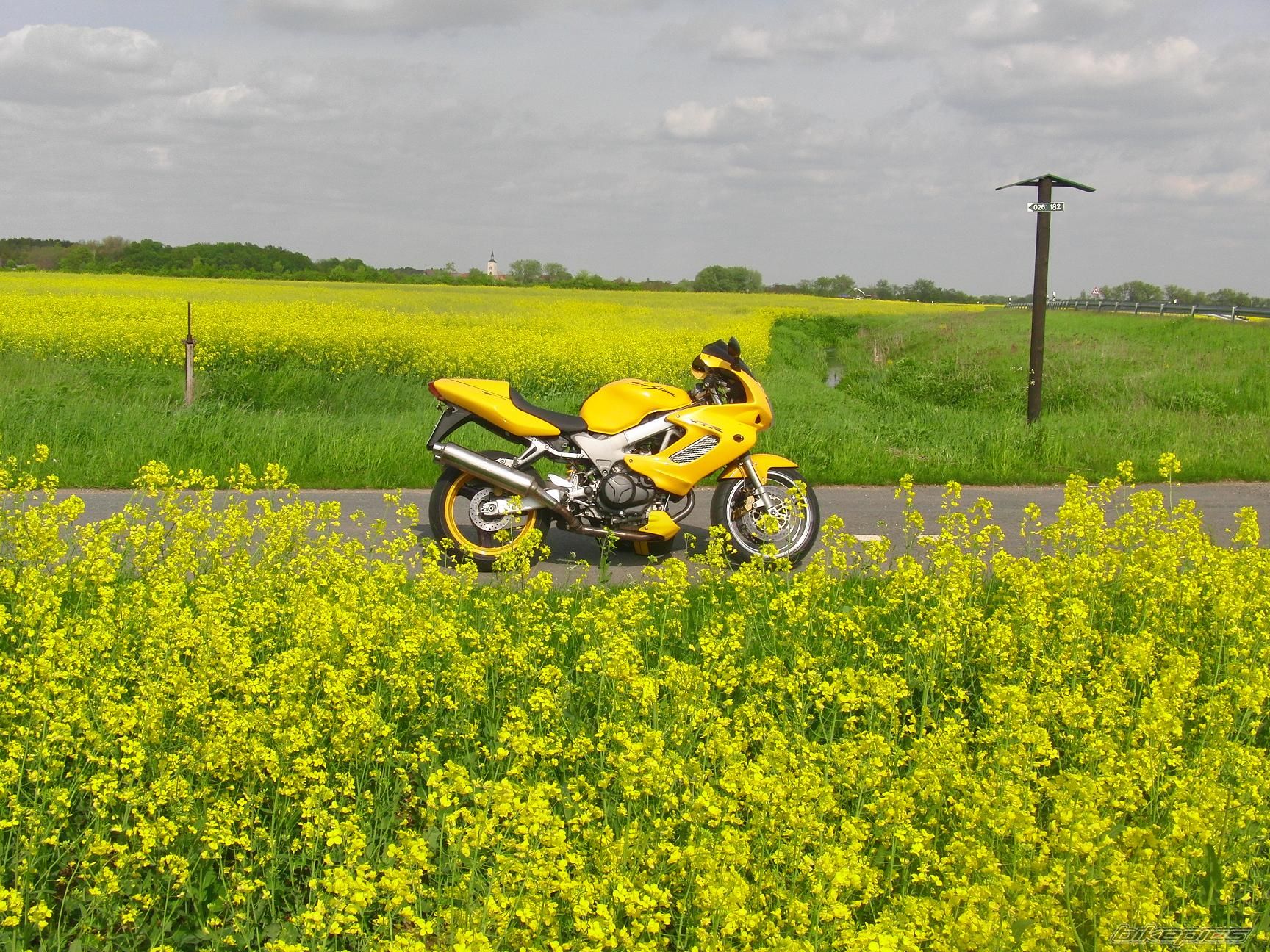 Photo 2013638