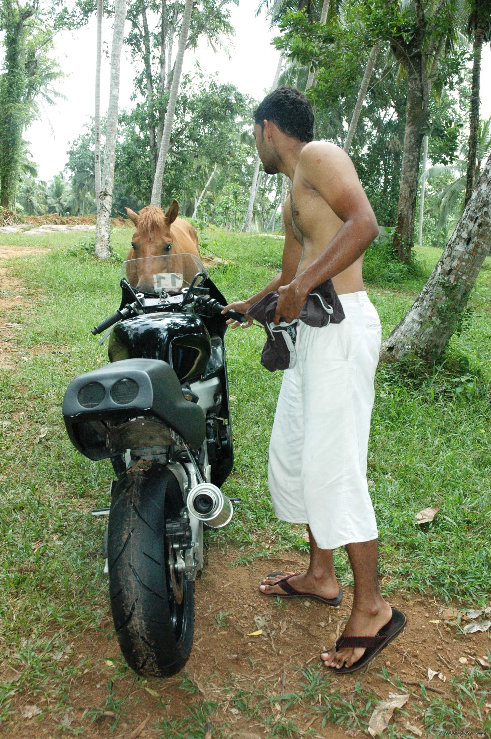 Bike Photo 2013756