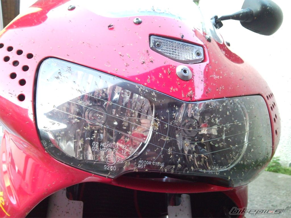 Bike Photo 2013837