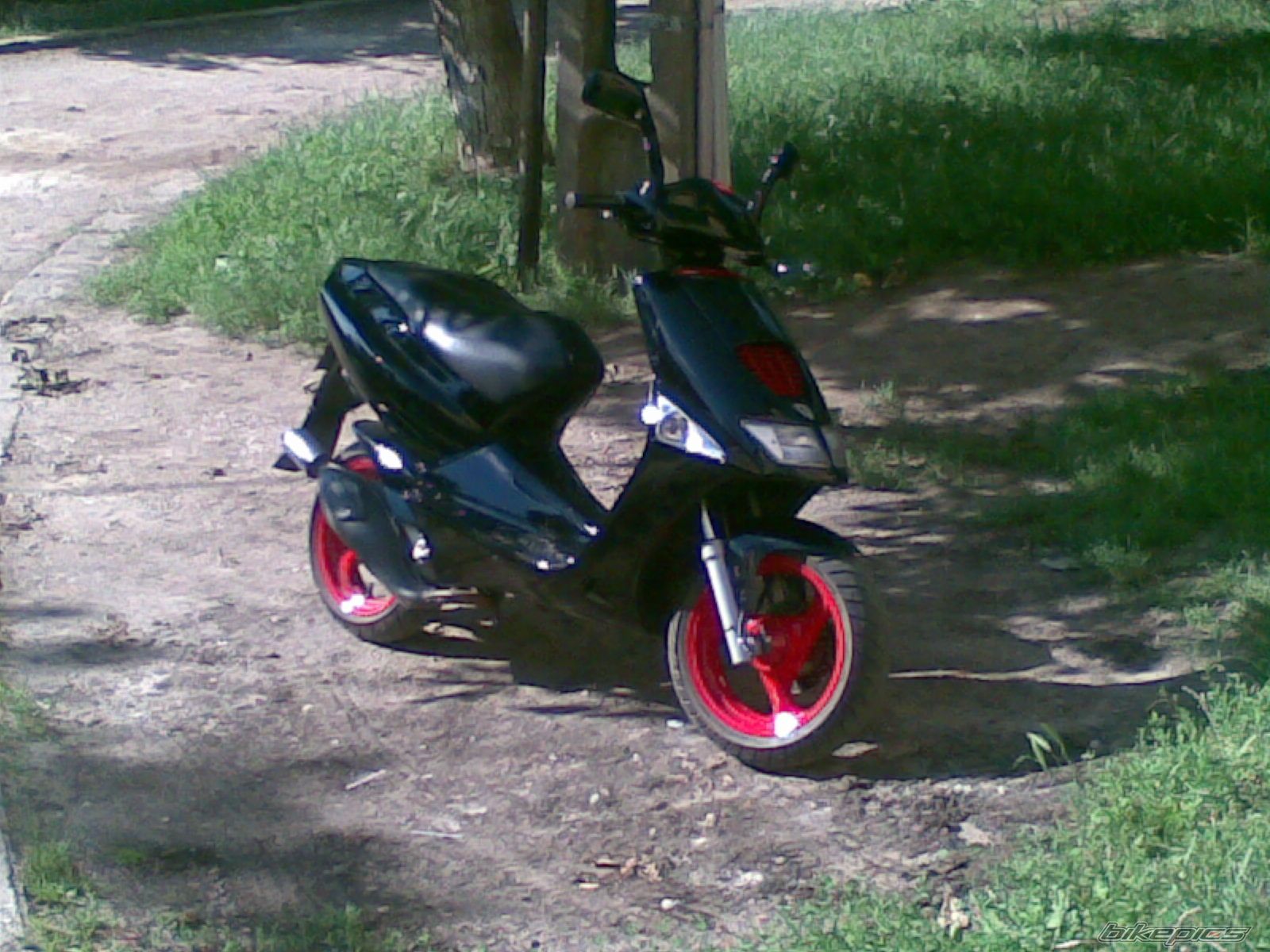 Photo 2013858