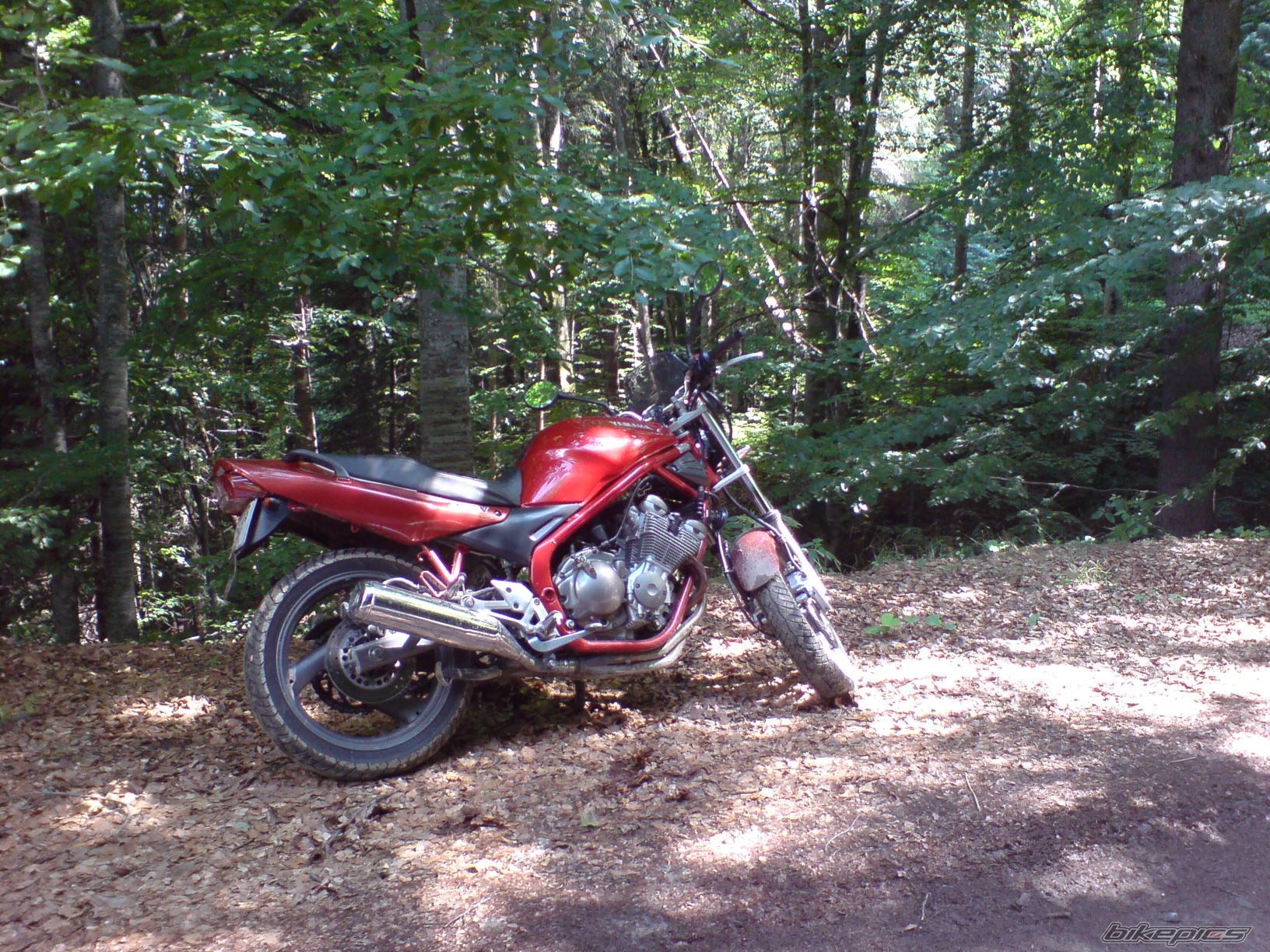 Bike Photo 2014022