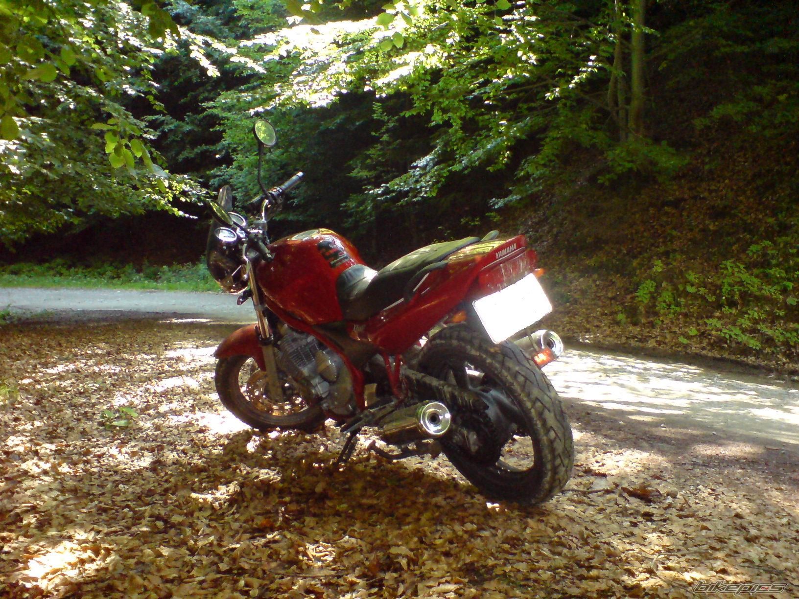 Bike Photo 2014025