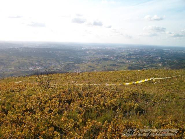 Photo 201424