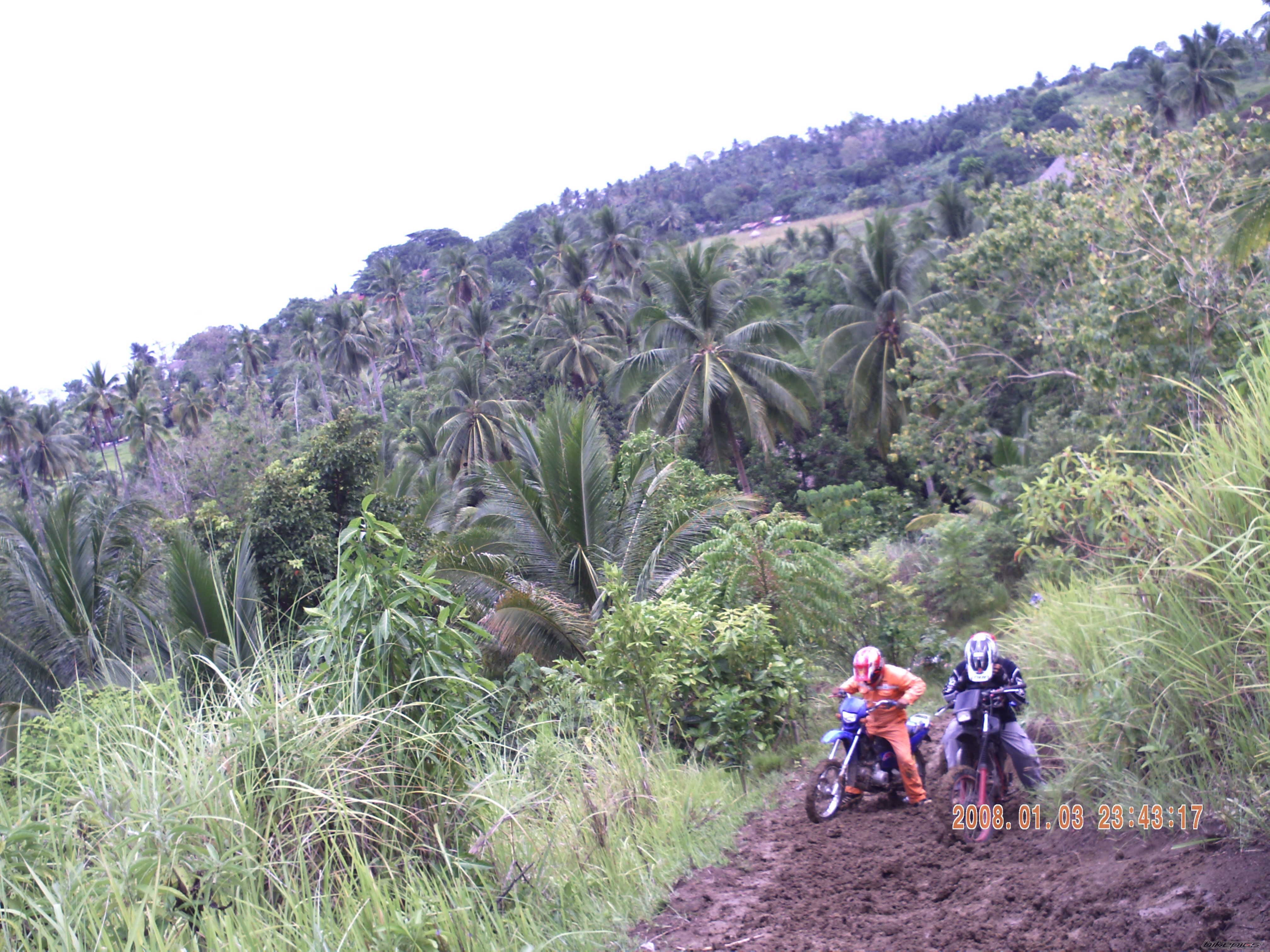 Photo 2014246
