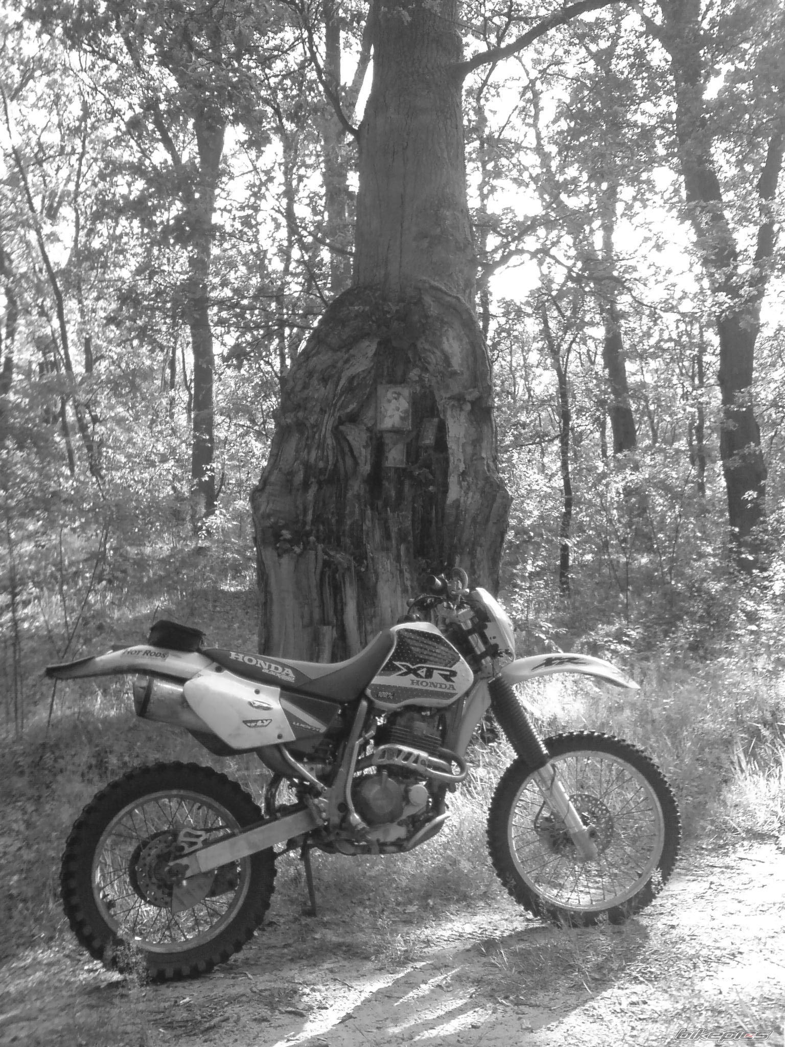 Bike Photo 2014402